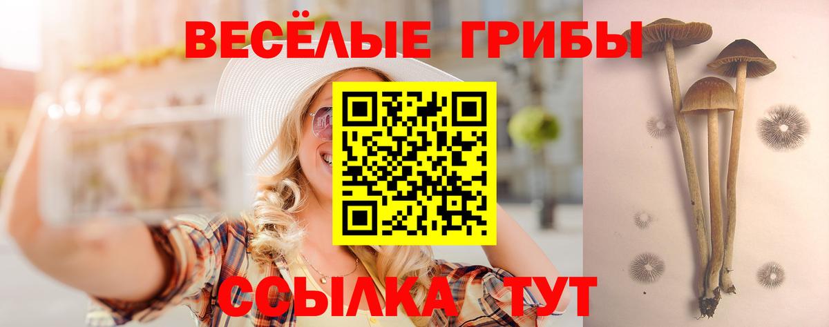 Галлюциногенные грибы MAGIC MUSHROOMS  Галлюциногенные грибы Cubensis  Вход с VPN  Лесозаводск 